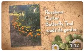 Rosalynn carter butterfly trail roadside garden video